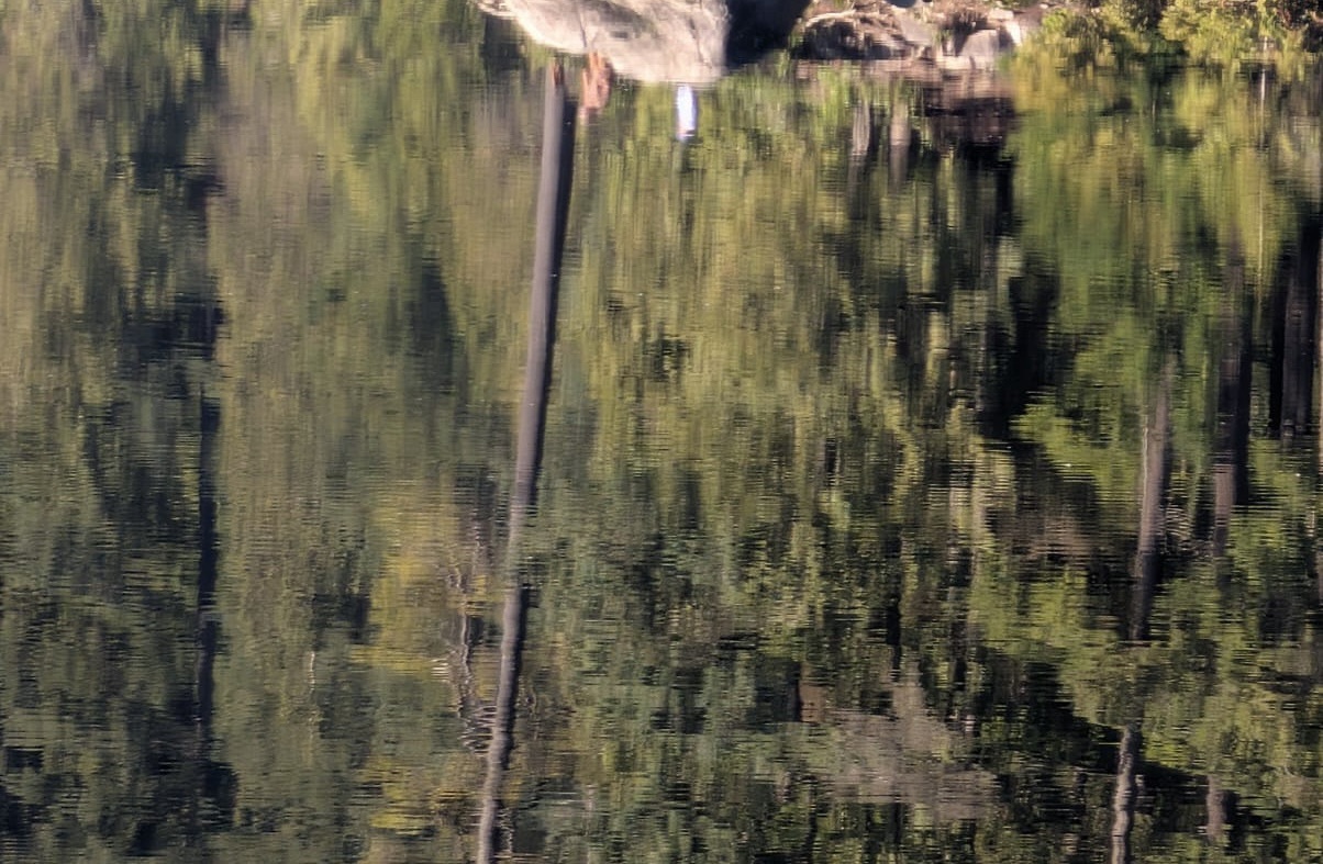 제3차 세계대전